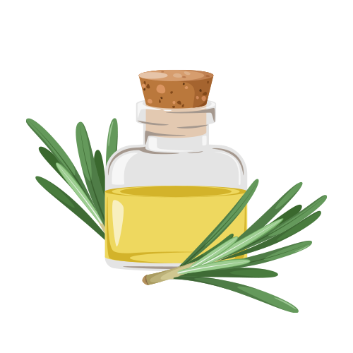 Rosemary Oil