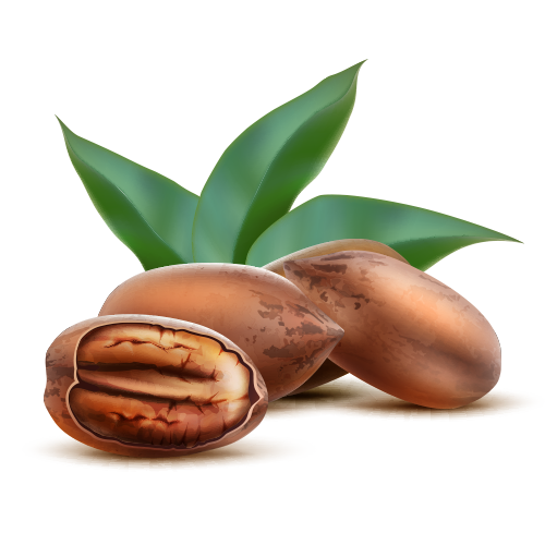 Hyaluronic Acid